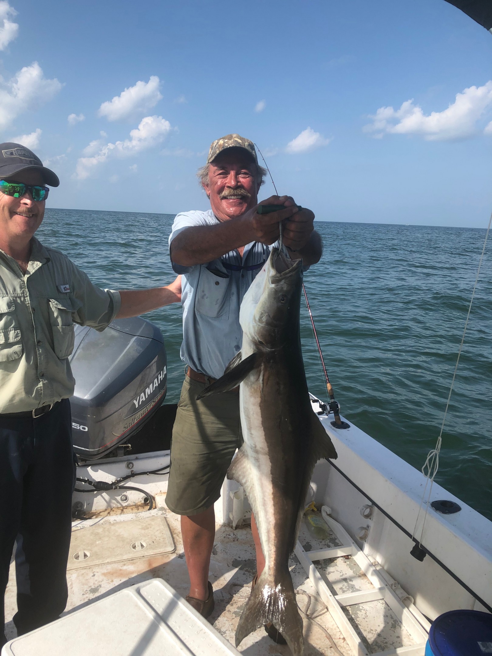 Cobia caught with Tom Smith