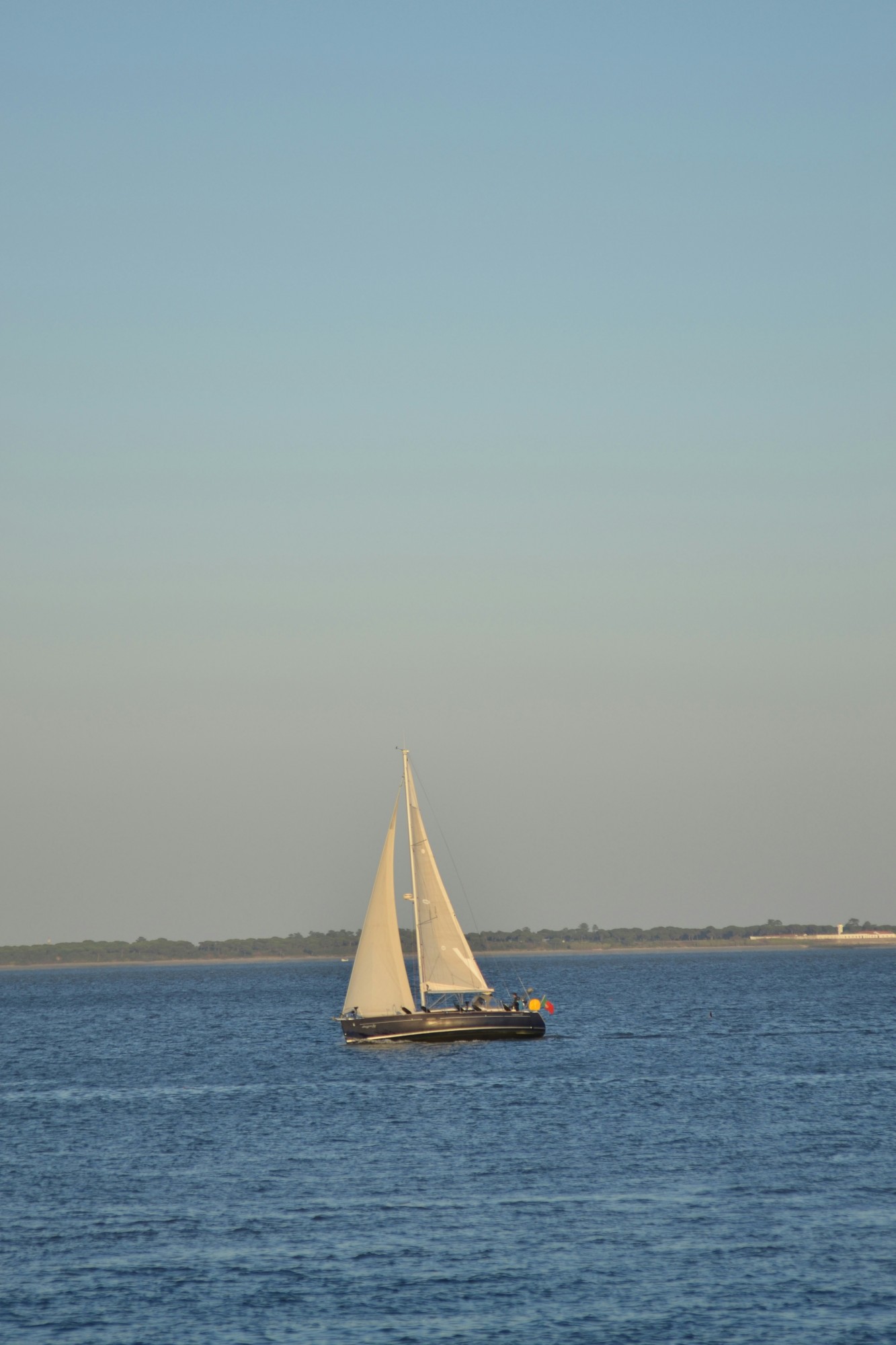 Northern Neck Sailing Image